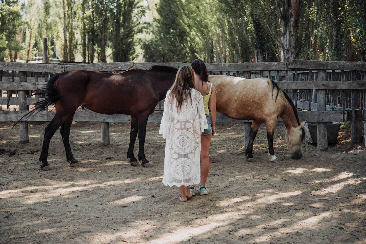 1° Módulo PRIMER AÑO Formacion en PsicoEquinoTerapia