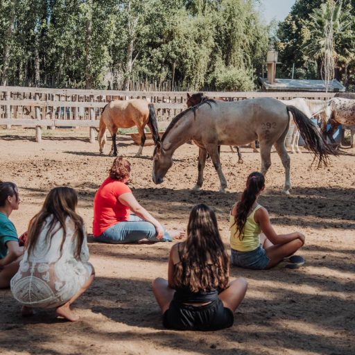 3° Módulo – PRIMER AÑO Formación en PsicoEquinoTerapia